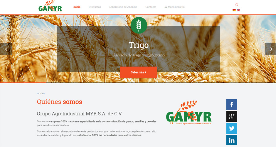 Grupo Agroindustrial Myr S.A. de C.V. (GAMYR)