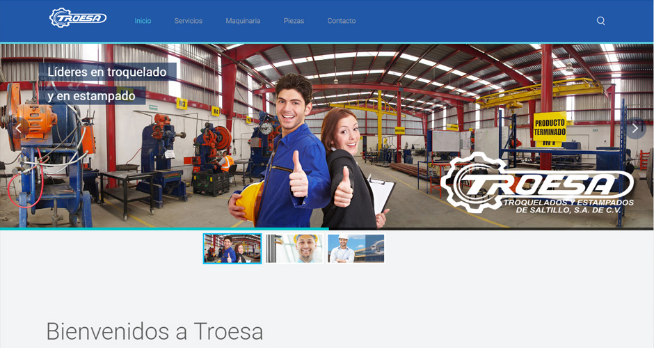 Troquelados y Estampados de Saltillo S.A. de C.V. (TROESA)